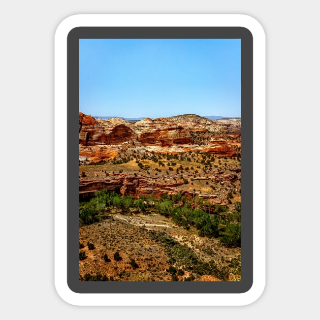 Utah Route State 12 Scenic Drive Sticker by Gestalt Imagery